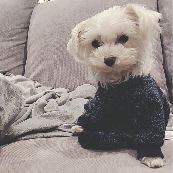 💕 Meet your posher 💕 - Picture 1 of 5